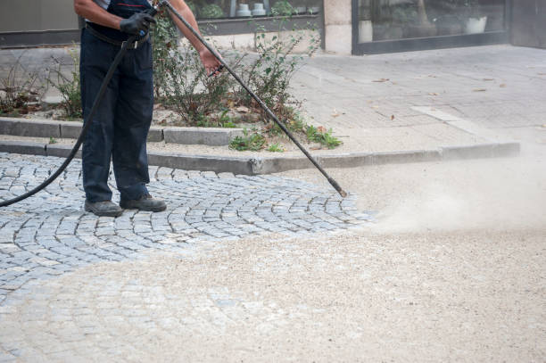 Best Gutter Cleaning  in Salt Creek Commons, IN