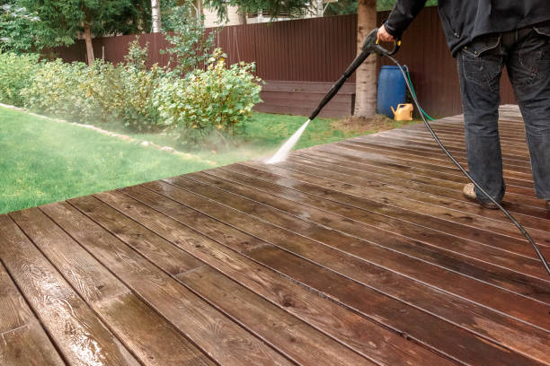 Best Roof Washing  in Salt Creek Commons, IN